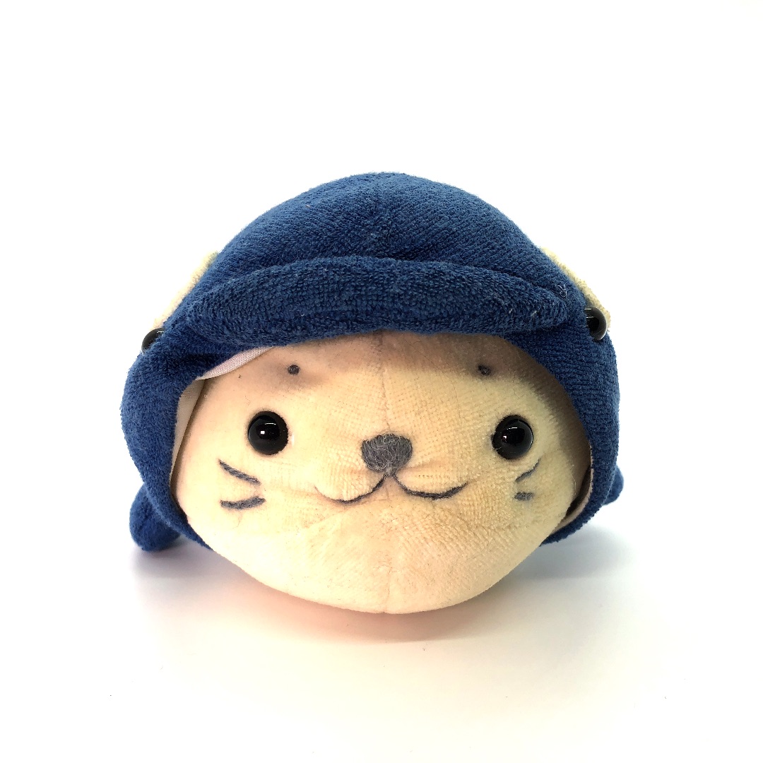 シャチに変身しろたん