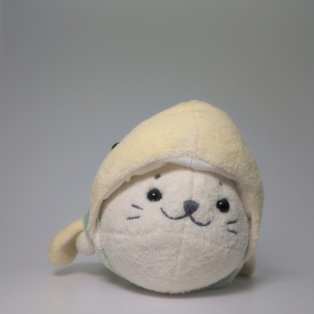 カメに変身しろたん